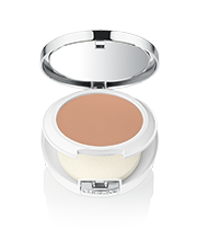 Beyond Perfecting Powder Foundation and Concealer