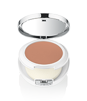 Beyond Perfecting Powder Foundation and Concealer