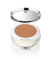 Beyond Perfecting Powder Foundation and Concealer